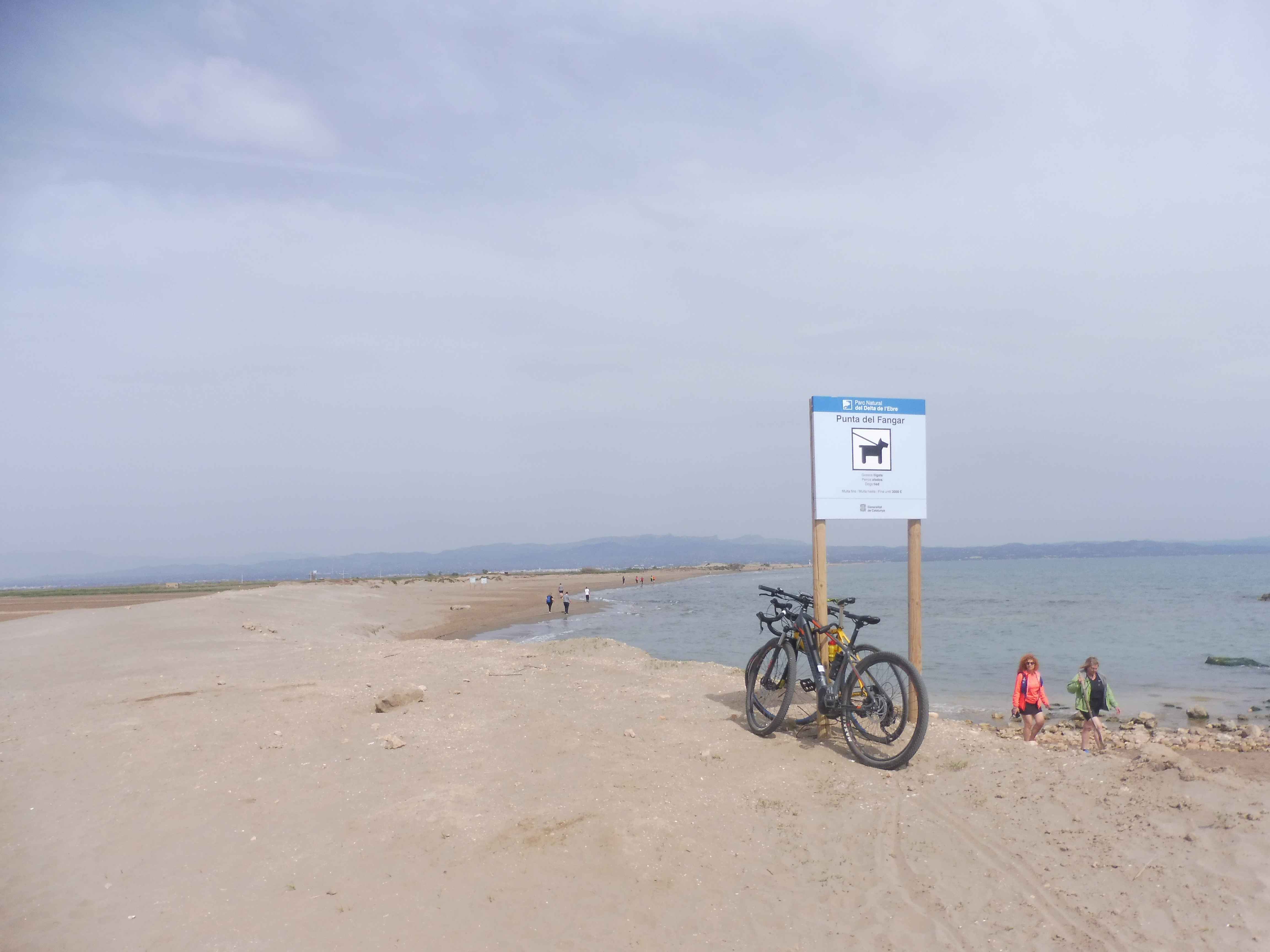 Photos de Punta Del Fangar Promenade Avec Vue Sur Legolf De San Jordi A Ampolla