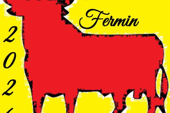 Feria de Pampelune - San Fermin 2026